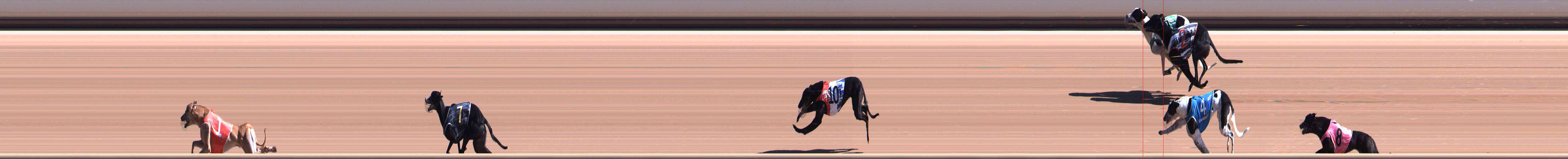 Race result finish photo